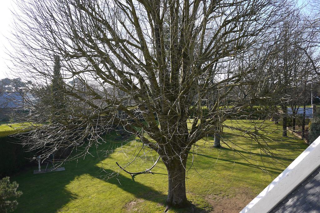 Le Clos De Kerhouil Saint Anne-dʼAuray Exteriör bild